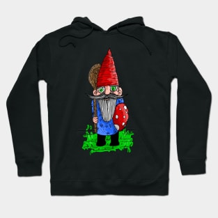 veteran of the gnome wars Hoodie